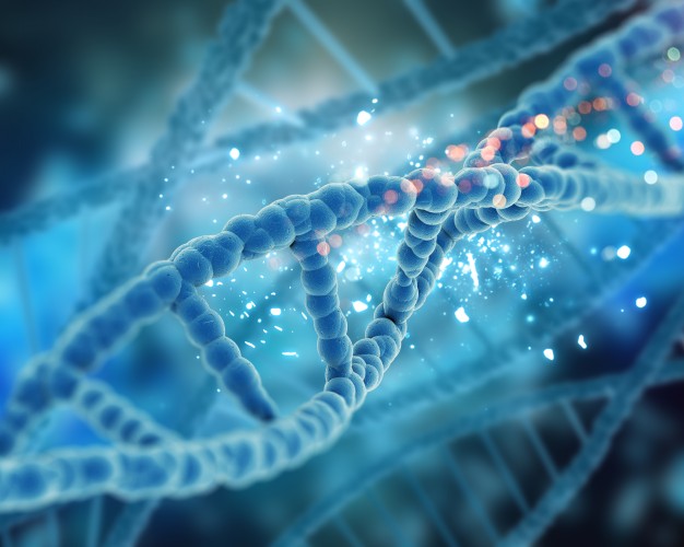 Genetic Screening untuk Tes Genetik